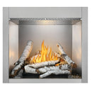 Napoleon Riverside 36 Outdoor Fireplace, Natural Gas, Electronic Ignition RSS36NE IMAGE 3