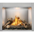 Napoleon Riverside 42 Outdoor Fireplace, Natural Gas, Electronic Ignition RSS42NE IMAGE 10