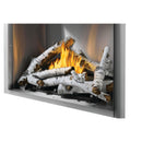 Napoleon Riverside 42 Outdoor Fireplace, Natural Gas, Electronic Ignition RSS42NE IMAGE 9