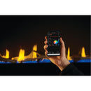 Napoleon Tall Vector™ 62 Direct Vent Fireplace, Natural Gas, Electronic Ignition TLV62N IMAGE 10