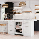 SPRWBC052D3SS-P PANEL READY SILHOUETTE PRO GEN 3, 24" built in beverage centre